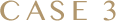 case03